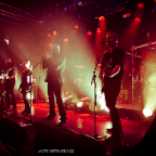 Tristania_03 copy